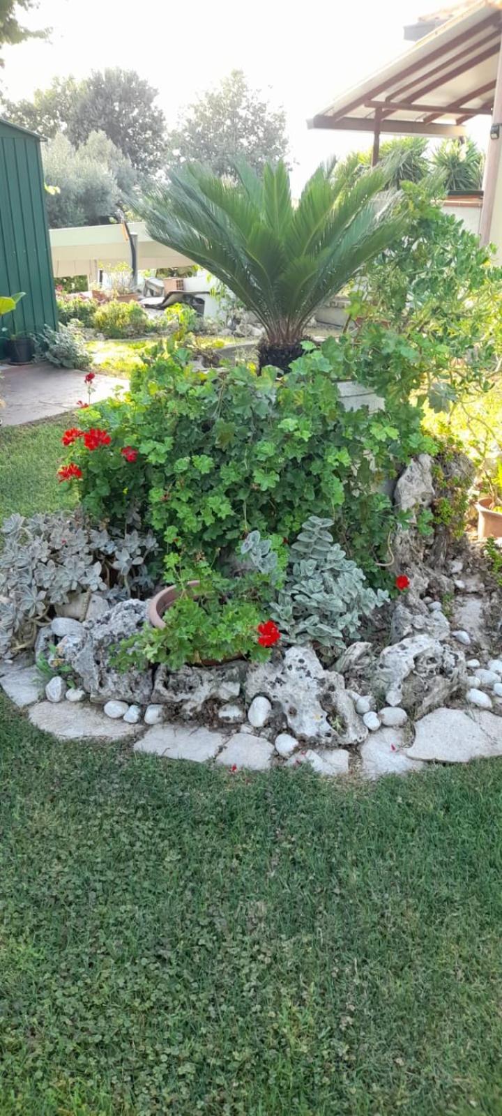 A Casa Di Sandra, Costa Dei Trabocchi Holiday home Paglieta